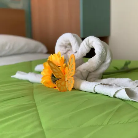Palma Benessere רימיני
