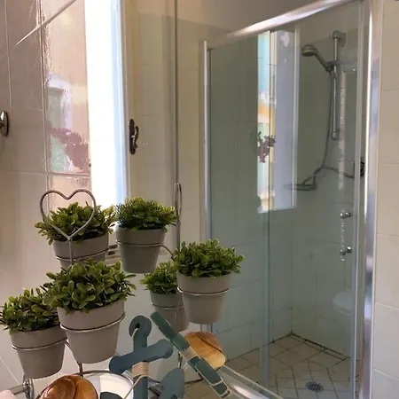 Palma Benessere 里米尼